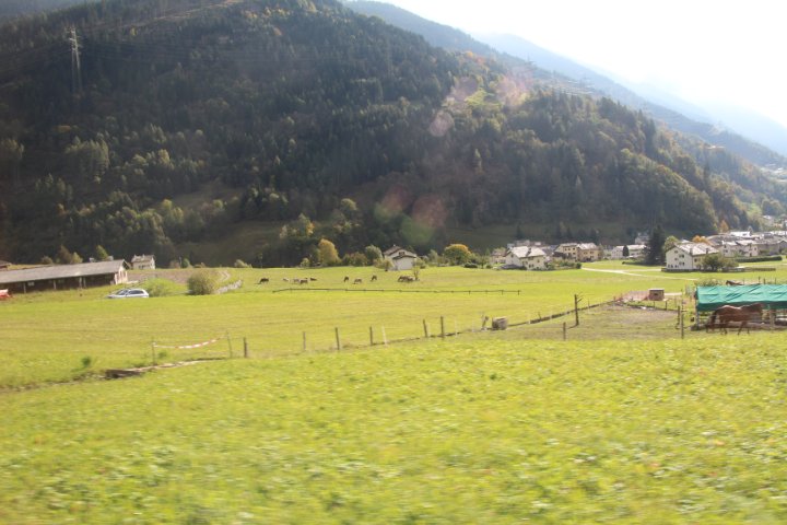 IMG_1400.JPG