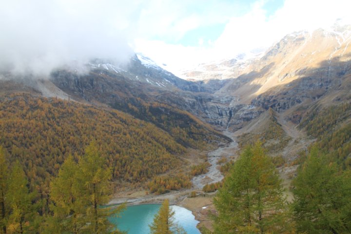 IMG_1445.JPG