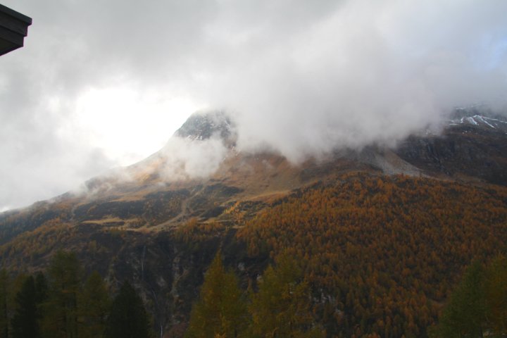 IMG_1449.JPG