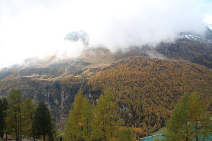 IMG_1450.JPG