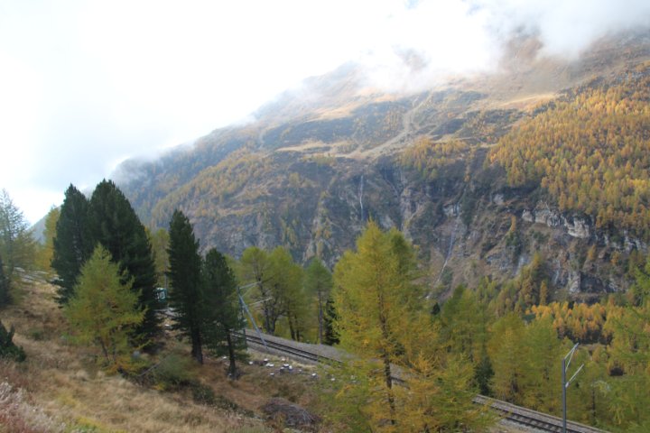 IMG_1455.JPG