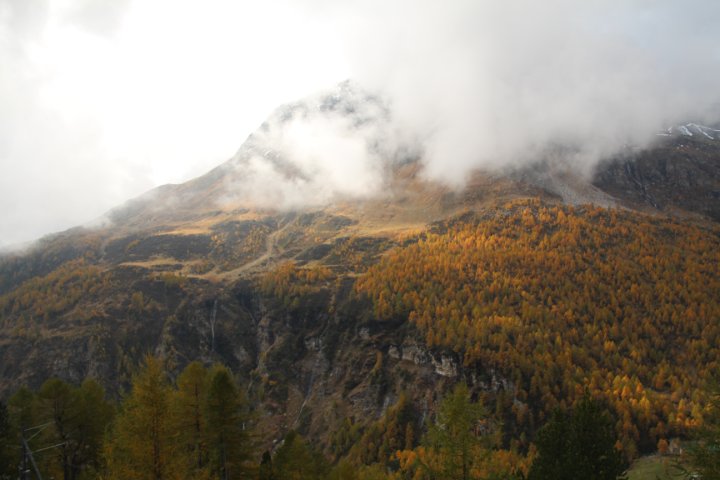 IMG_1457.JPG
