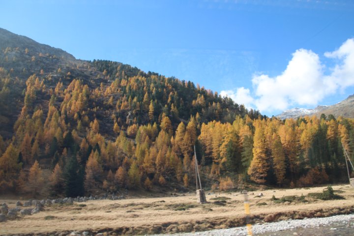 IMG_1482.JPG