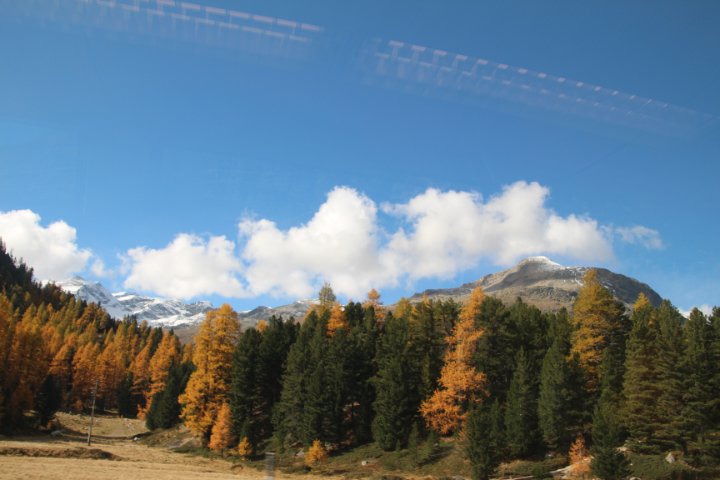 IMG_1483.JPG