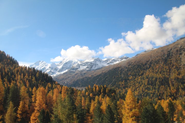 IMG_1485.JPG