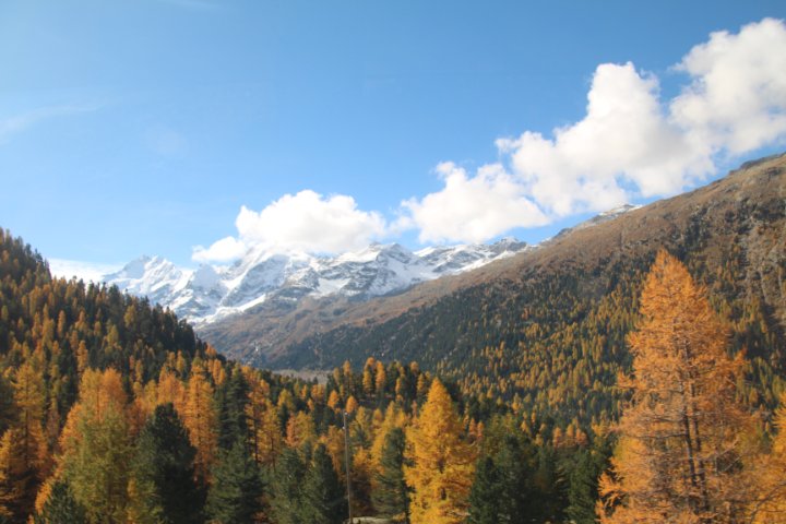 IMG_1486.JPG