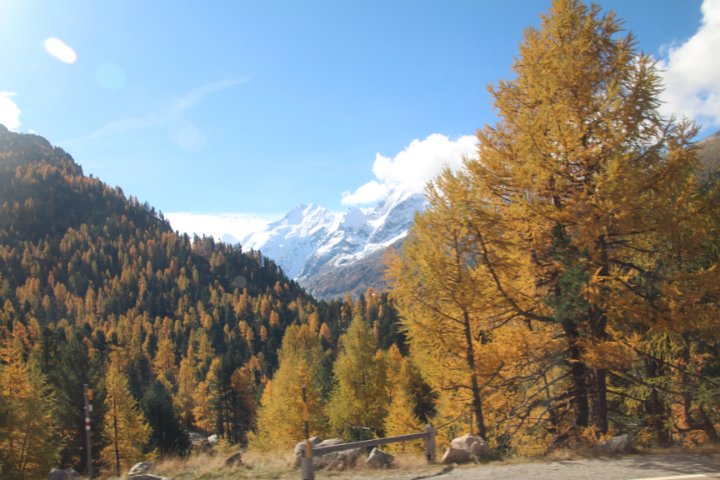 IMG_1487.JPG