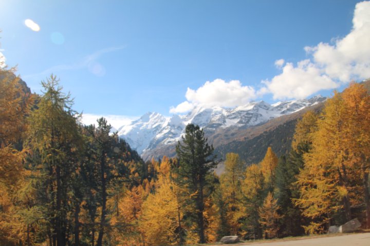 IMG_1488.JPG