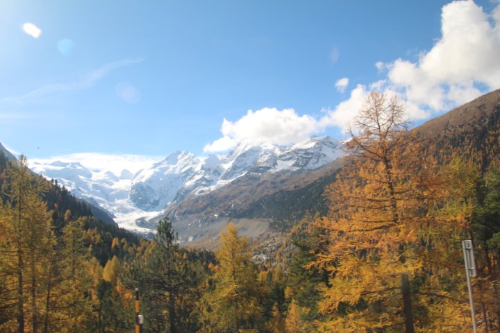 IMG_1490.JPG