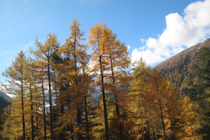 IMG_1492.JPG