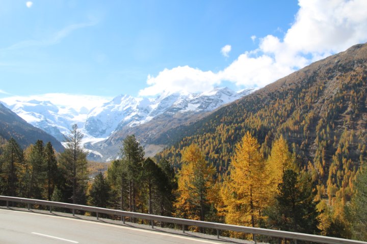 IMG_1493.JPG