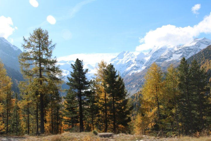 IMG_1497.JPG