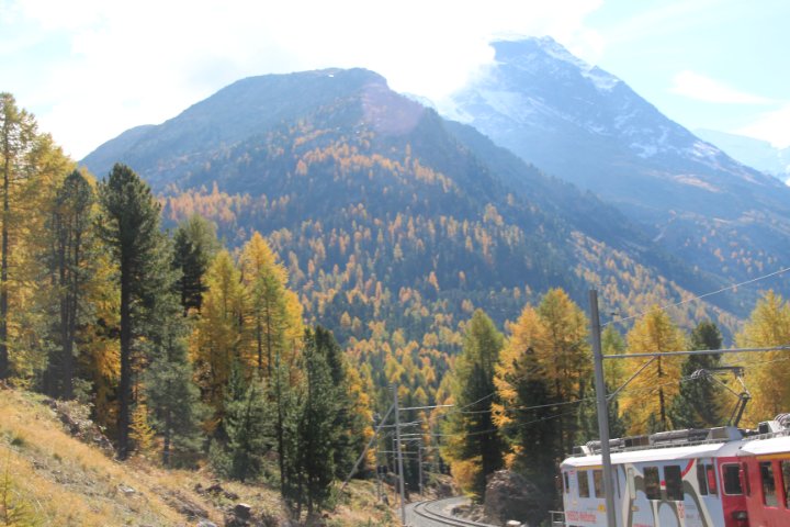 IMG_1504.JPG