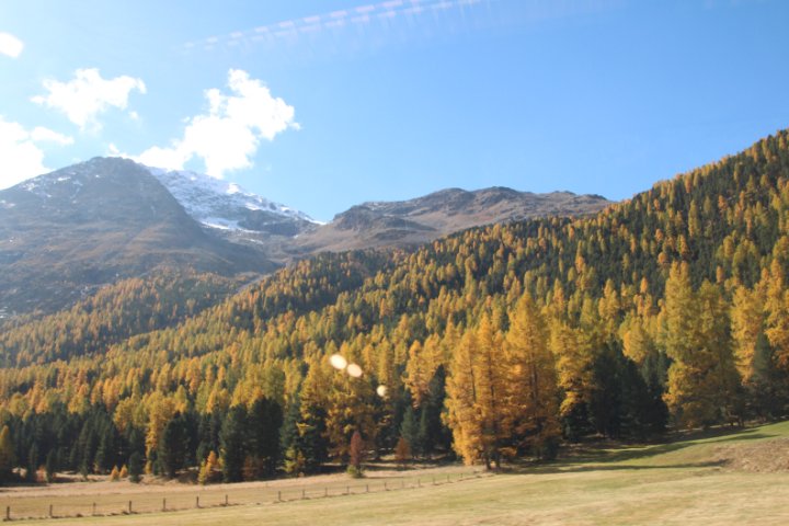 IMG_1505.JPG