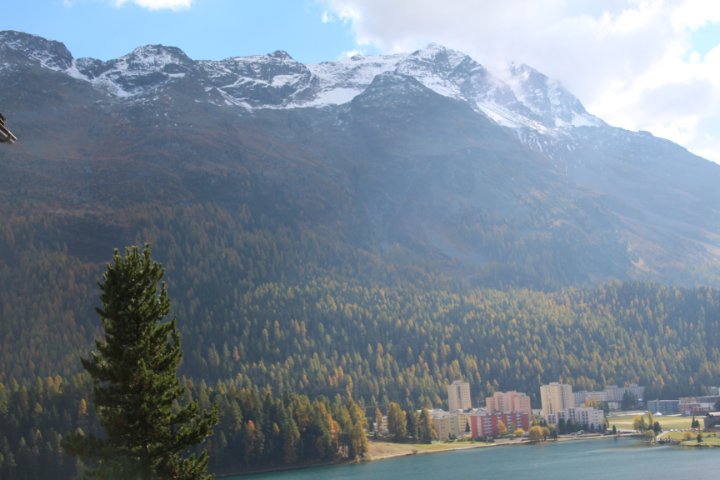 IMG_1515.JPG