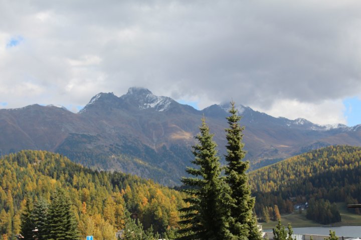 IMG_1521.JPG